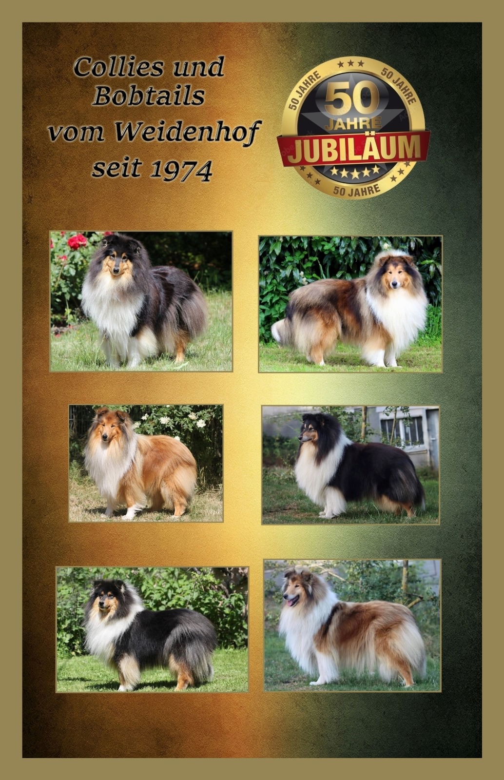 PHOTO-2024-09-10-22-13-22